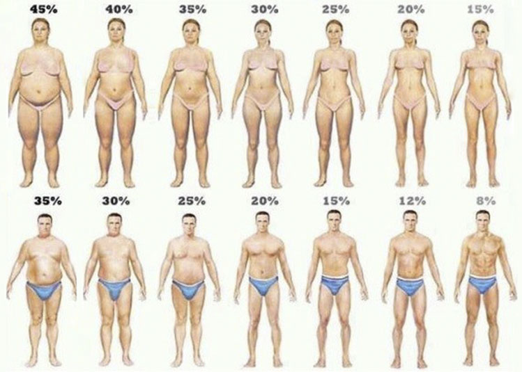 egyfitness