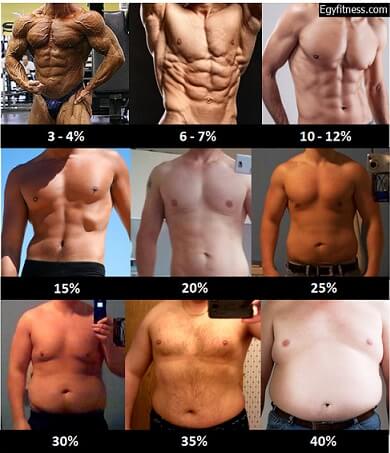 حساب الوزن المثالي - مؤشر كتلة الجسم - نسبة الدهون و الماء و العضلات 9